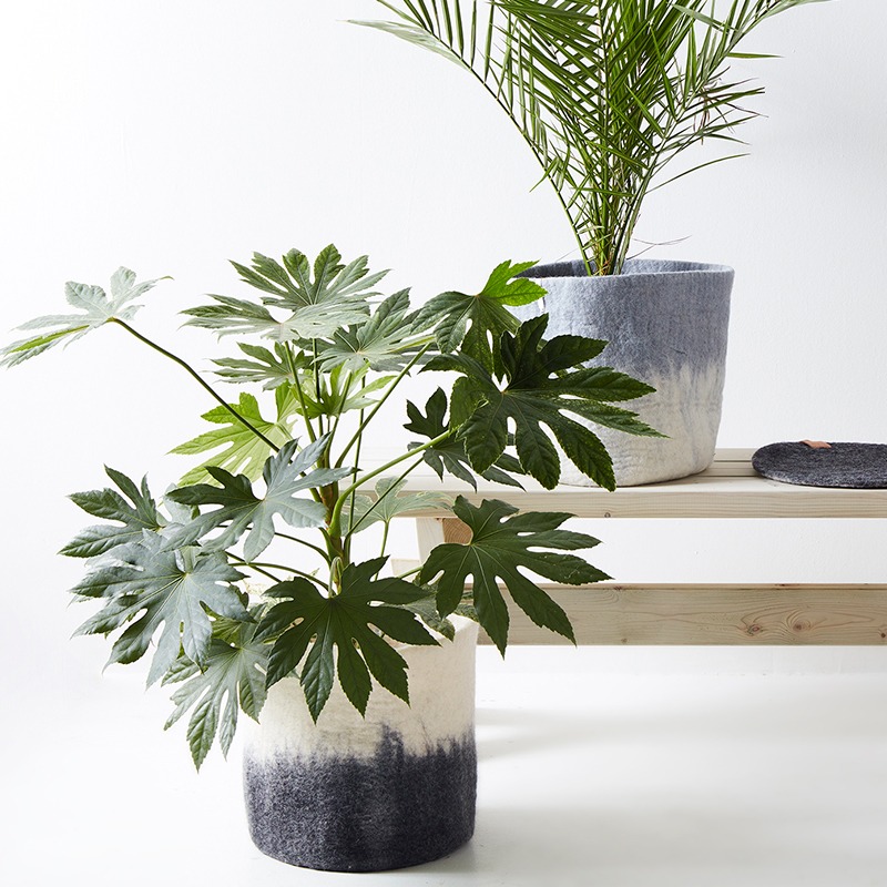 cache pot en laine avec plante