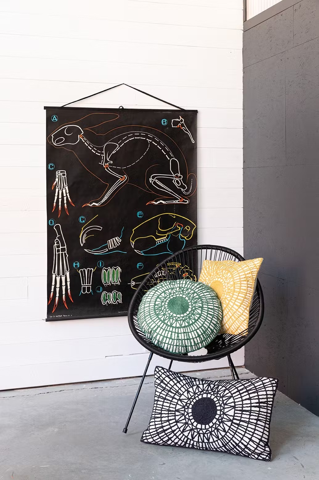 coussins jaune vert et noir dans fauteuil